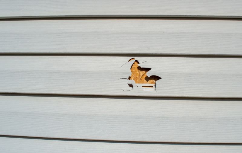 Vinyl Siding Repair Expert